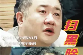 横扫收视的“密码”都在这儿了图片
