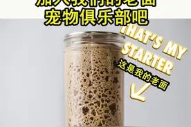 把包饺子剩下的面当宠物养？这些人是认真的图片
