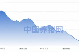 农业部喊话“多吃猪肉”背后，猪价跌60%，猪企能否熬过“猪周期”？图片