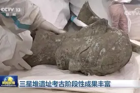 「再探三星堆」三星堆考古发掘进程过半野外发掘将转入实验室考古 还有哪些精彩值得期待？图片