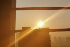 一名郑州高中生“宅”家的一天图片