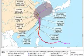 宁波：今日已取消62架次航班，多个景区关闭图片