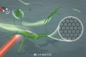中国科学家成功研发仿水黾微型机器人 实现微型机器人在水面游动、跳跃、翻滚图片
