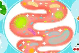 合理饮食“养”肠道图片