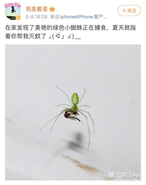 还记得《悟空》的原唱戴荃吗？这状态哪像42？