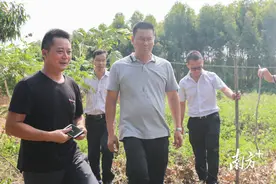 突发！麻章区即时处理一起焚烧树叶起火事件图片