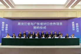 龙粤合作再签千亿大单，总签约额近5000亿图片