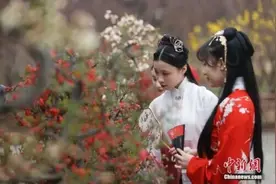 年轻人“入了圈”，汉服“出了圈”图片
