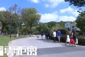 南京一公园内惊现成群流浪狗，体型偏大引发担忧图片