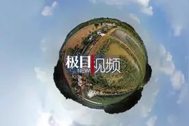 藕塘捉鱼“大战”，捉回8斤重的“鱼王”图片