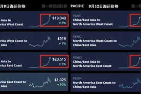 中美海运价格暴涨5倍！航运巨头纷纷宣布冻结运价图片