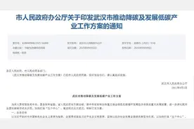 建设低碳城市，2025年武汉绿色出行比例达到75%以上图片