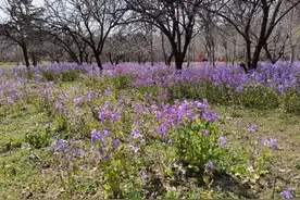 孩子长大了图片