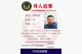 闪电寻人｜德州齐河15岁男孩坐上开往济南的公交下车后失联 家人急寻图片
