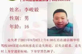 闪电寻人｜德州齐河15岁男孩坐上开往济南的公交下车后失联 家人急寻图片