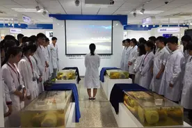 人死后会去哪里？有一群人拒绝「入土为安」图片