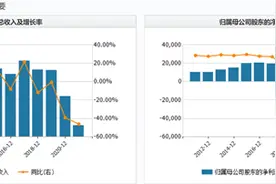 深度｜上市10年转型连连失利 华西能源欲靠两条路破危局图片