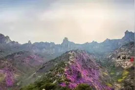 山上的生活图片