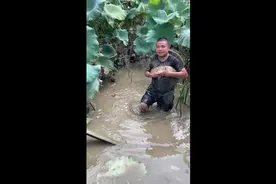 贵州一男子直播捕鱼 十斤重大鲤鱼“自投罗网”图片