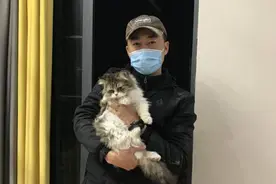 白天找狗，夜里找猫：他和16名90后做起了职业寻宠人图片