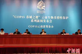 云南已退出小水电站301座 计划明年底全面完成清理整改图片