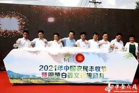 2021年中国农民丰收节暨铜陵白姜文化旅游月正式启动图片