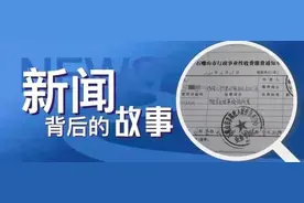 小树林里核实线索，假扮老板暗访服务大厅……揭秘国务院大督查如何揪出背后猫腻图片