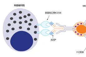 耀市2周年 兆绘新未来——热烈庆祝兆珂®在中国上市2周年，惠及更多中国MM患者图片