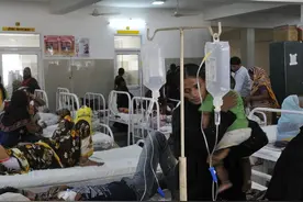 印度“登革热”致1.2万人卧病在床，114人死亡含88名儿童图片