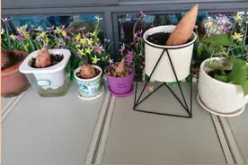 我和航天员叔叔有个约定——合肥一六八玫瑰园学校东校区孩子们的太空梦图片