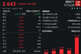 煤炭ETF成年内首只翻倍ETF：相关产业供给难解需求之渴图片