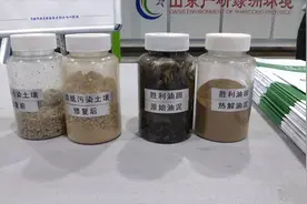 黄河入海看山东｜含油污泥怎么治？来山东产业技术研究院问“土壤医生”图片