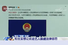 互撕谩骂、反向圈钱、浪费资源……“饭圈”如何成“怪圈”？图片