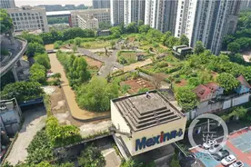 重庆33米高楼顶有个2万平农场，“白领”们在这享受种菜的乐趣……图片