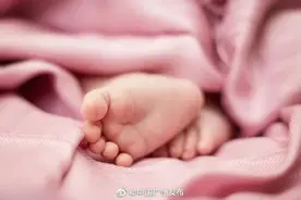 80日奖励假！关于三孩，广东有最新消息→图片