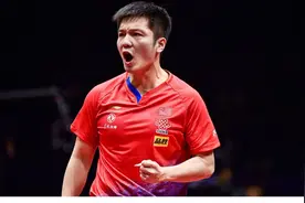 “神仙打架”！15个世界冠军齐聚全运会乒乓球赛，夺冠难度远超奥运图片