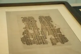 慈禧太后有什么瘦脸神器？来成博新展看古人“养护秘方”图片