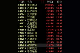 多公司加速布局盐湖提锂，盐湖提锂概念再度活跃图片