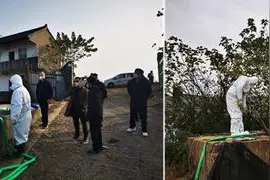 生态环境部公布打击危险废物环境违法犯罪典型案件办理进展图片