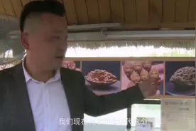 核雕师：以木为纸，以刀为笔，一生传承图片