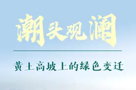 潮头观澜｜黄土高坡上的绿色变迁图片