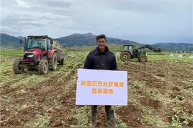 阿里“淘菜菜”的新使命：共建“一刻钟便民生活圈”图片