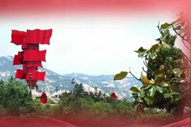 实验室“小白”起飞记视频封面