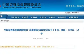 90后夫妻多账户操纵4只可转债价格 获利不足5万遭罚款30万图片