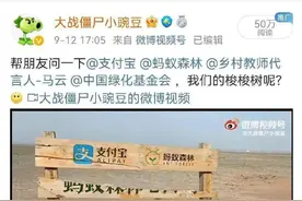 网络文明系列谈④｜啥叫正能量？想清楚这三件事，网上网下都受益图片