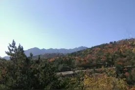 大雨中，呼和浩特一女大学生跌落半山腰，紧握一根树枝支撑......图片