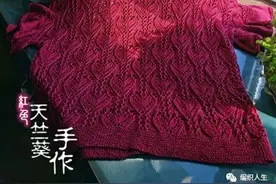 典雅又百搭！蝶儿飞：超精致女士棒针短袖套头衫（有编织图解）图片