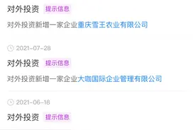 蜜雪冰城密集投资西南和海南，并剑指东南亚图片