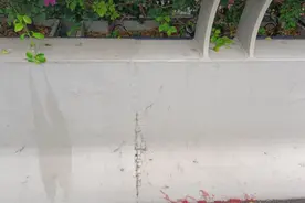 120秒！地铁线加速迎来新进展，出行高效感满格！图片