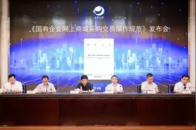 标准出台，解决了国企电商采购这几大问题图片